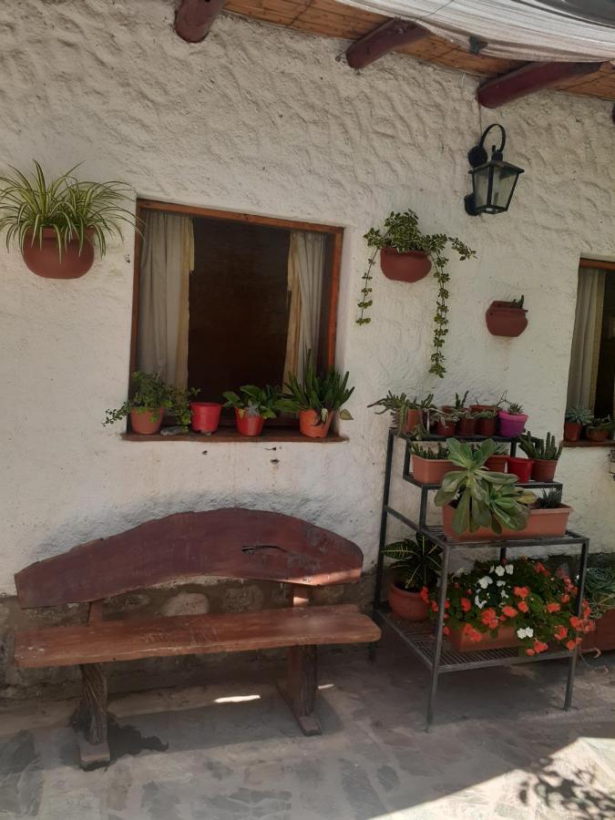 Hostal Candelaria 卡法亚特 外观 照片
